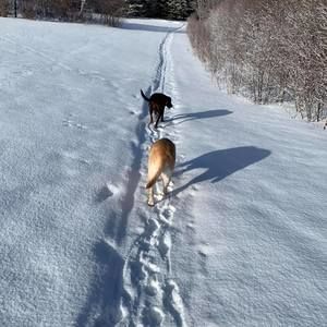 Meet your Posher, Terri